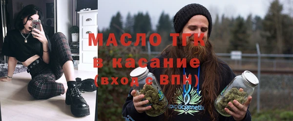 шишки Горняк