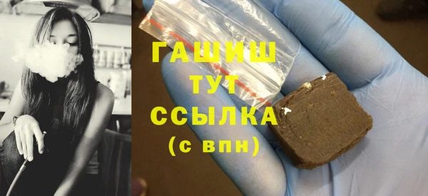 шишки Горняк