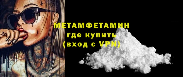шишки Горняк
