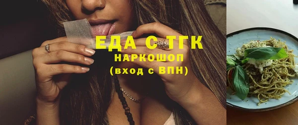 шишки Горняк