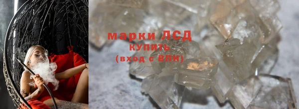 шишки Горняк