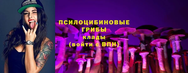 индика Горно-Алтайск