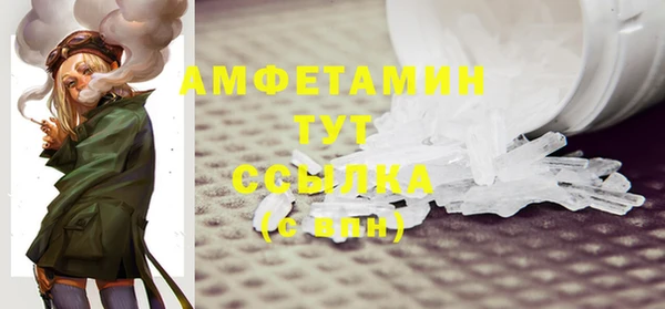 шишки Горняк