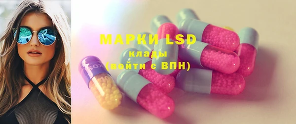 индика Горно-Алтайск