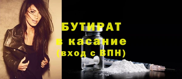 шишки Горняк
