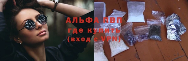шишки Горняк