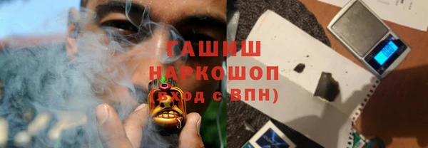 шишки Горняк