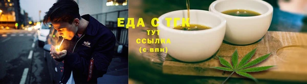 шишки Горняк