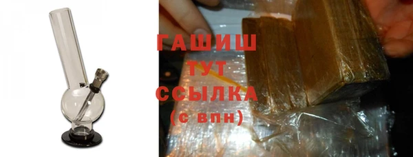 шишки Горняк