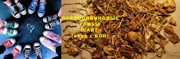 гидропоника Горнозаводск