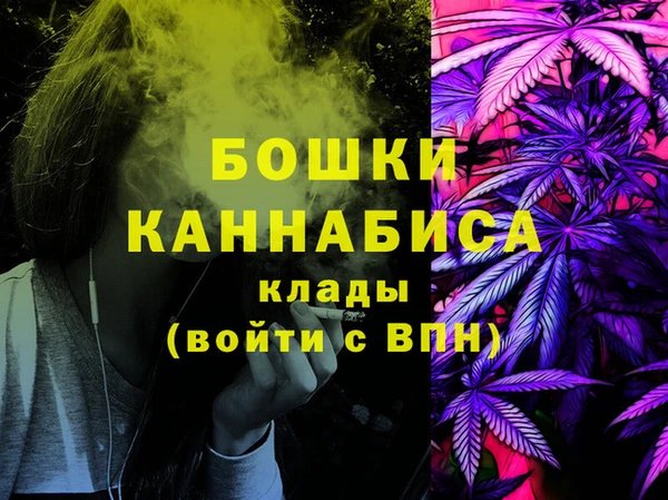 шишки Горняк