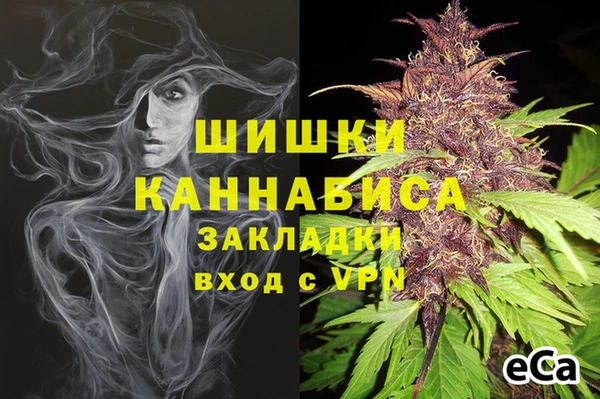 гидропоника Горнозаводск