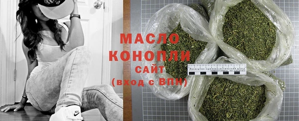 шишки Горняк