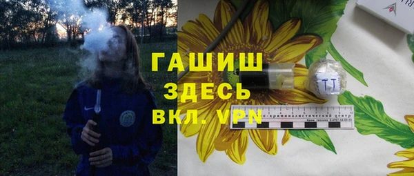 шишки Горняк