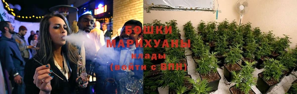 индика Горно-Алтайск