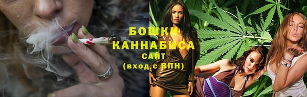 шишки Горняк