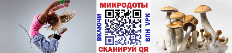 Купить  Кимры  Галлюциногенные грибы MAGIC MUSHROOMS 